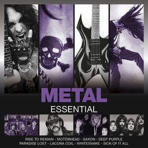 Essential: Metal