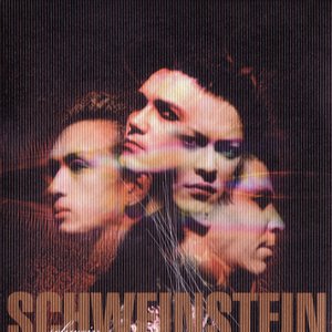 Schwe㏌ 的头像