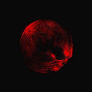 Blood Moon - Single