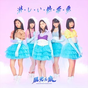 淋しい熱帯魚