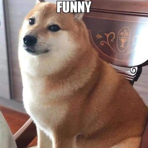 soniacz 的头像
