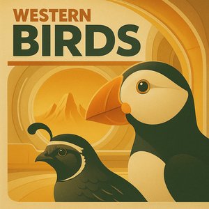 Western Birds için avatar