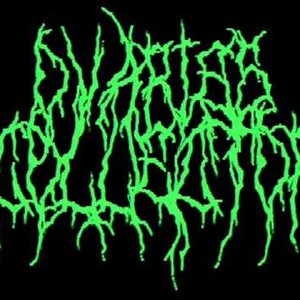 Ovaries Collector 的头像