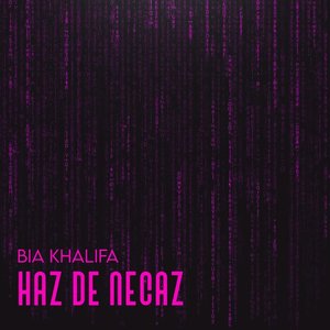 haz de necaz