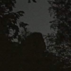Zonnewende 的头像