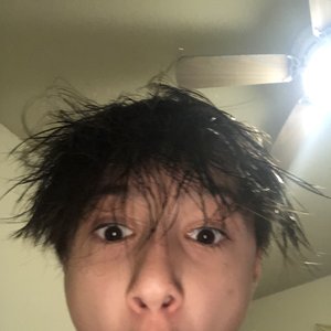 “Malibu!”的封面
