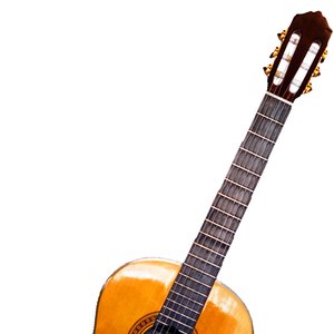 Avatar for Guitar Cover