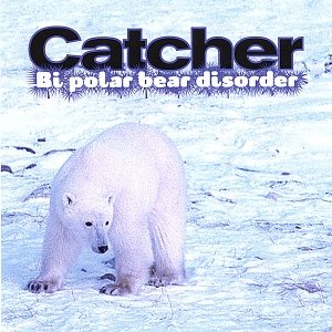 Bi polar bear disorder