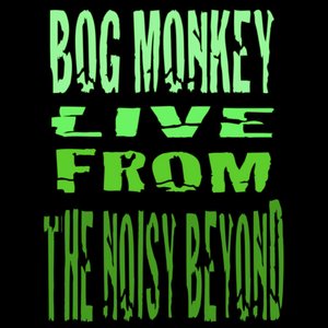 Live From The Noisy Beyond