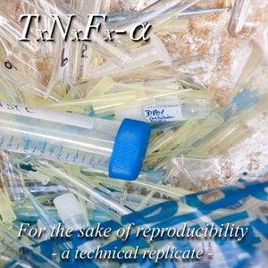 For the sake of reproducibility - a technical replicate