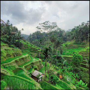 Bali (DJ Mix)