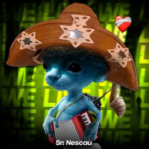 Image for 'TÔ INDO ALI - ARROCHADEIRA'