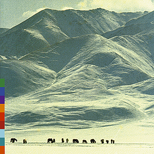 Voices from the Distant Steppe cover
