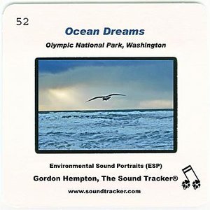 Ocean Dreams