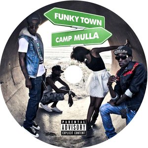 'Funkytown' için resim