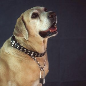 Unchained