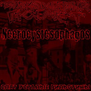 NECROCYSTESOPHAGOS 的头像