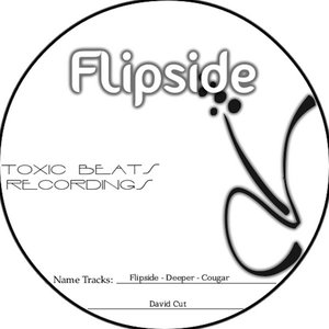 Flipside