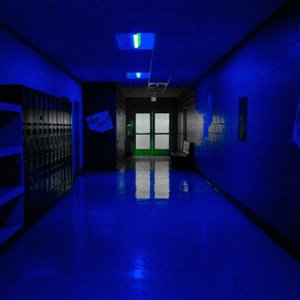 school