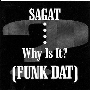 Why Is It? (Funk Dat)