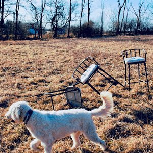 J Spence - Single