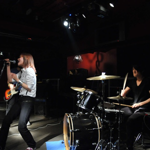 Plover photo provided by Last.fm