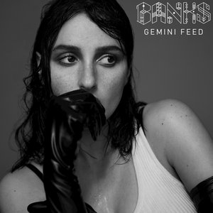 Gemini Feed - Single