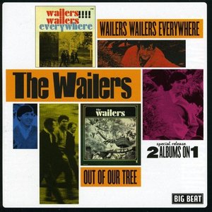 Wailers Wailers Everywhere / Out of Our Tree