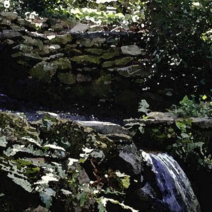 Honeycomb - Single