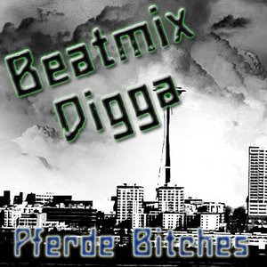 Image for 'Beatmix Digga'