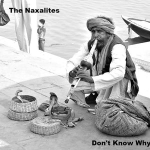 Image for 'The Naxalites'