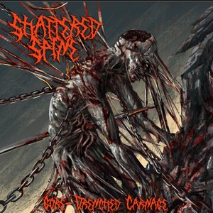 Shattered Spine 的头像
