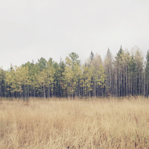 Kina Grannis - Blowin