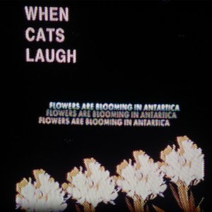 Flowers Are Blooming In Antartica Deluxe Edition (Extra)