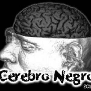 Avatar de Cerebro Negro