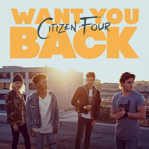 Want You Back - Single