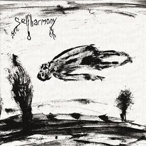 selfharmony