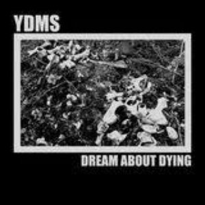 Dream About Dying