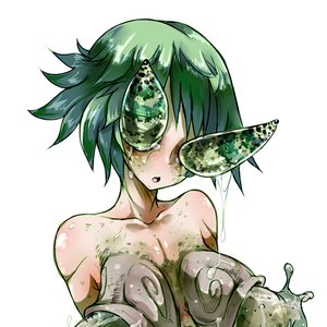 Formicophilia 的头像