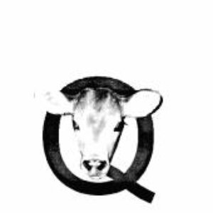 Avatar for qcut