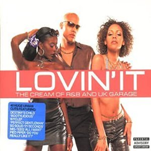 Bild für 'Lovin' It: The Cream of R&B and Uk Garage (disc 1)'