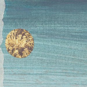 The Gloomy Islands of Misdiagnosed 的头像