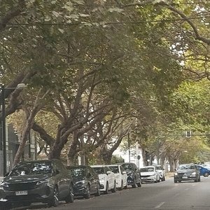 Made in Traffic