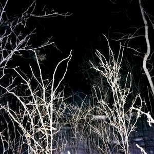 S1DE EFFECTS M4Y 1NCLUDE