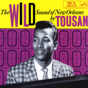 Allen Toussaint - The Wild Sound Of New Orleans - Zortam Music