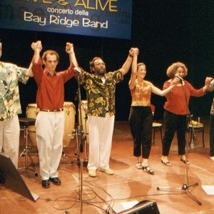 Avatar di the bay ridge band