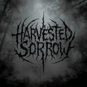 Avatar for harvestedsorrow