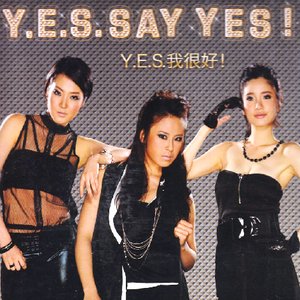 Y.E.S. 的头像