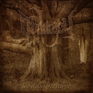 Sunday's Autopsy