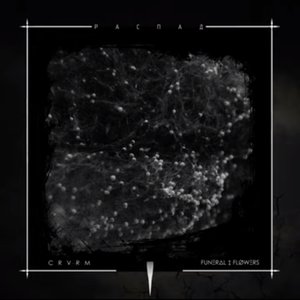 Распад (feat. Funeral Flowers) - Single